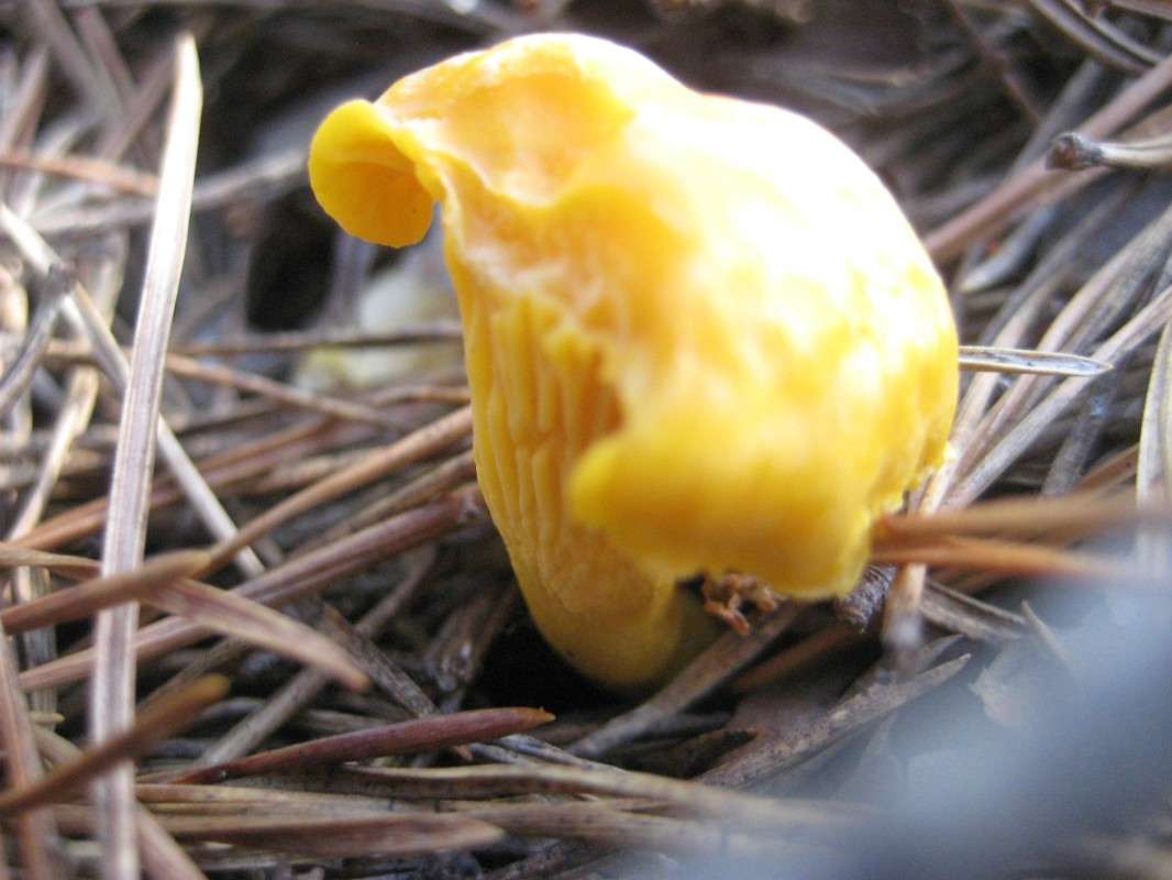 ... ����� �������  �� PhotoGeek.ru #������ ��� ������� #����� ��������������