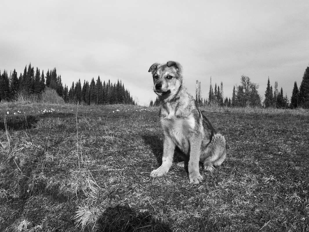 ... ����� �������  �� PhotoGeek.ru #�������� ��� #�������� ���