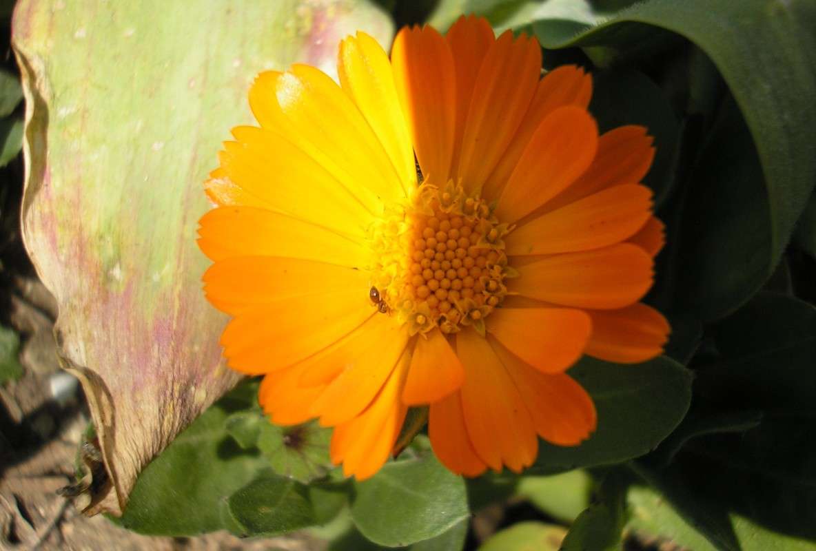 ������ ����� �������� ��������� �� PhotoGeek.ru #������ ��� �������