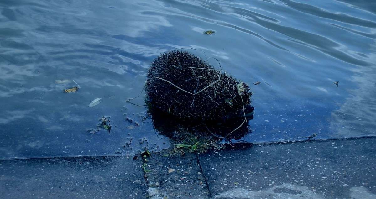 ���� ����� �������� ��������� �� PhotoGeek.ru #�������� ��� #����� ��� ��� ���������