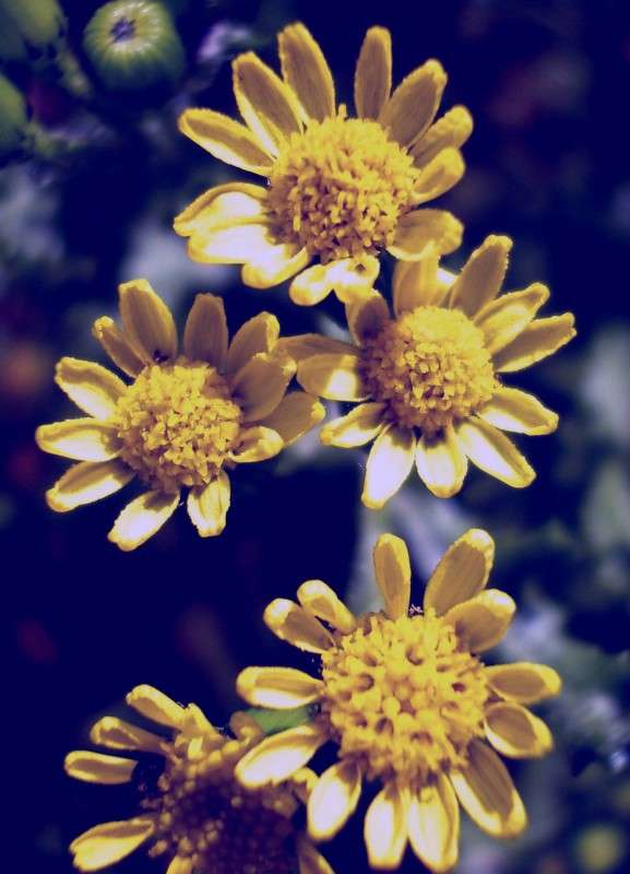 ... ����� �������� ��������� �� PhotoGeek.ru #������ ��� �������