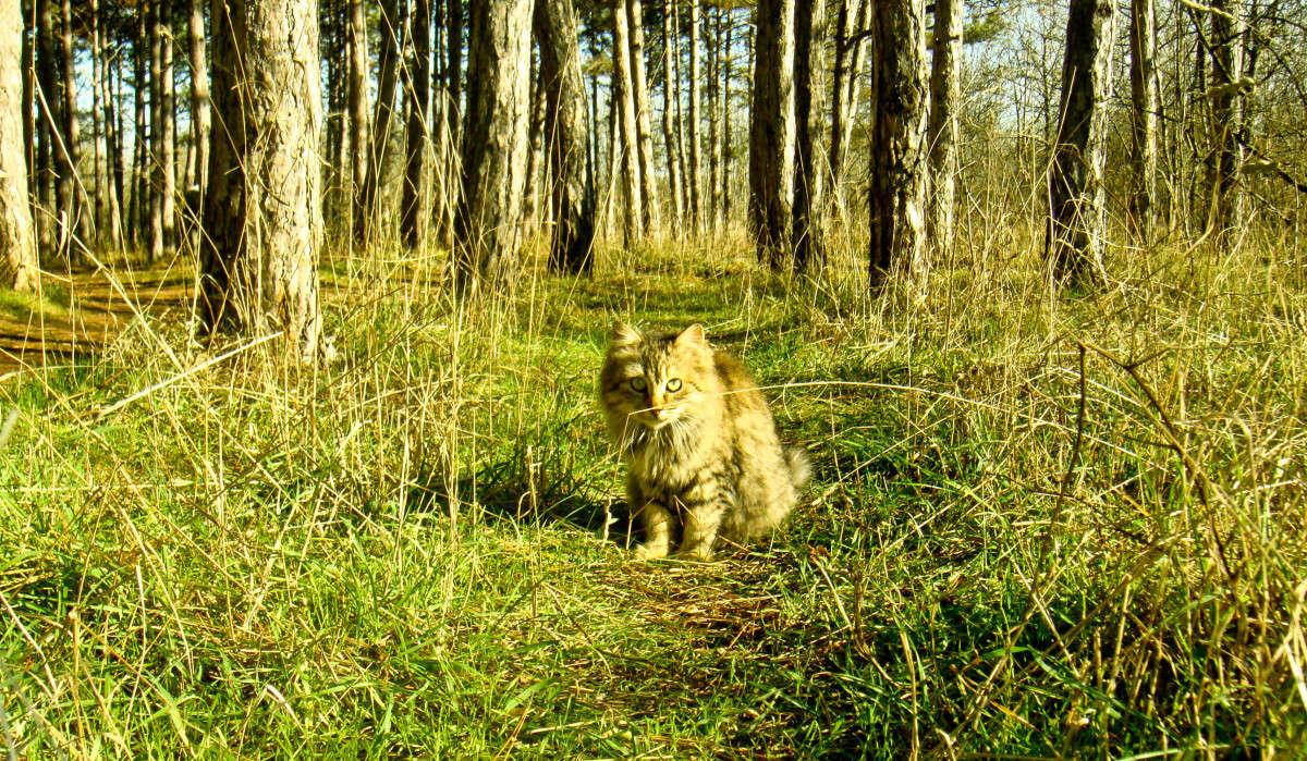 ���������� ����� �������� ��������� �� PhotoGeek.ru #������ ��� �������