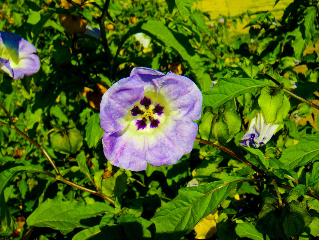 ... ����� �������� ��������� �� PhotoGeek.ru #������ ��� �������