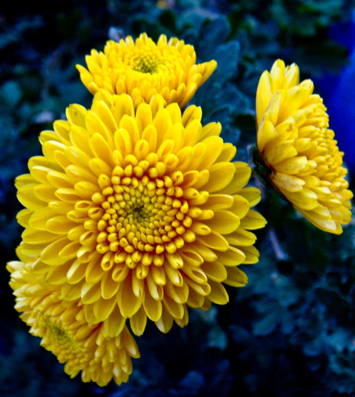 ... ����� �������� ��������� �� PhotoGeek.ru #������ ��� �������