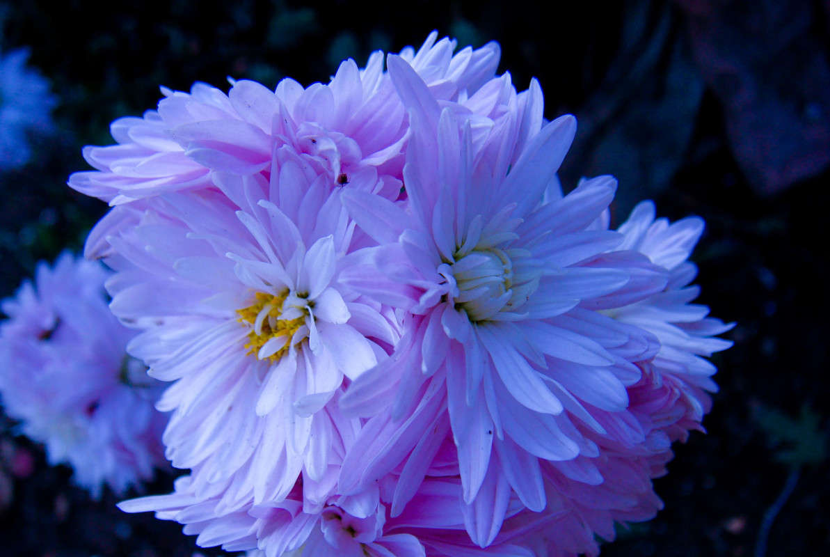 ... ����� �������� ��������� �� PhotoGeek.ru #������ ��� �������