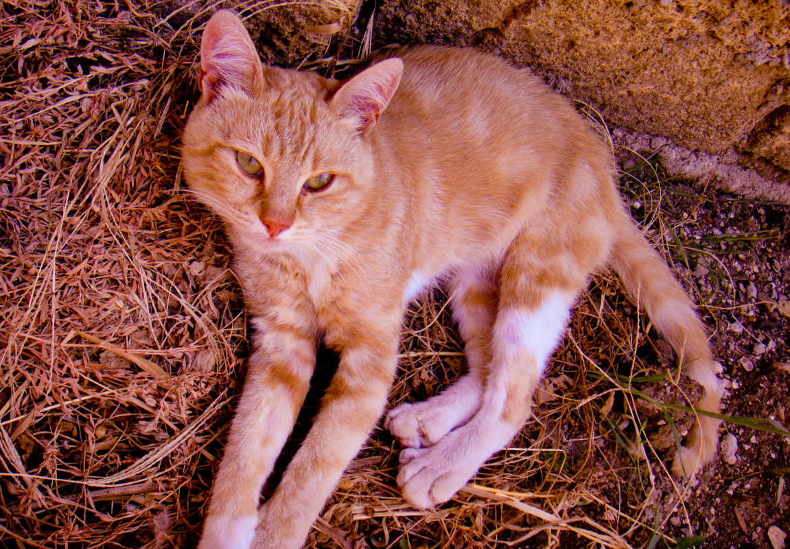 ... ����� �������� ��������� �� PhotoGeek.ru #�������� ���