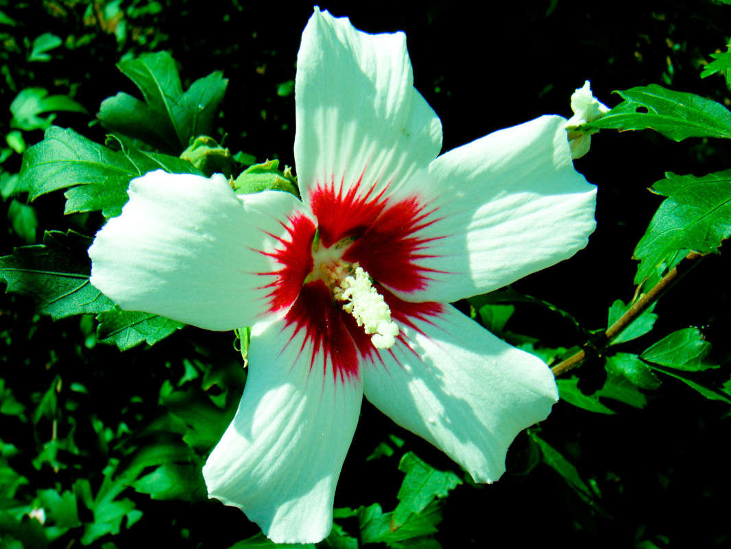 ... ����� �������� ��������� �� PhotoGeek.ru #������ ��� �������