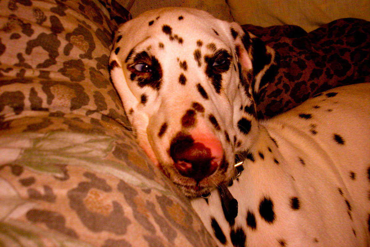 ... ����� �������� ��������� �� PhotoGeek.ru #�������� ���