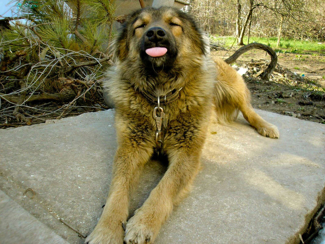 ... ����� �������� ��������� �� PhotoGeek.ru #�������� ���