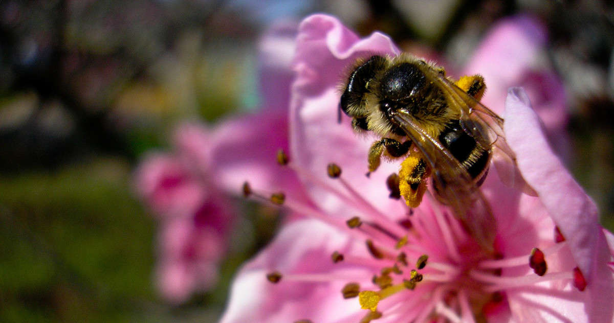 ... ����� �������� ��������� �� PhotoGeek.ru #������ ��� �������