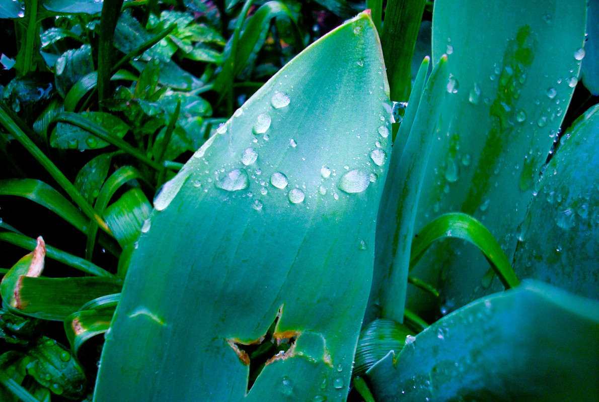 ... ����� �������� ��������� �� PhotoGeek.ru #������ ��� �������