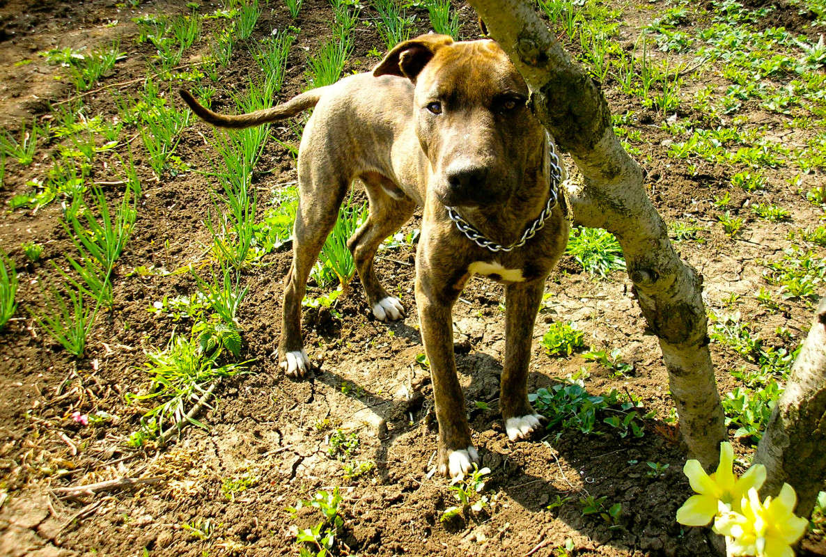 B@k$ ����� �������� ��������� �� PhotoGeek.ru #�������� ���