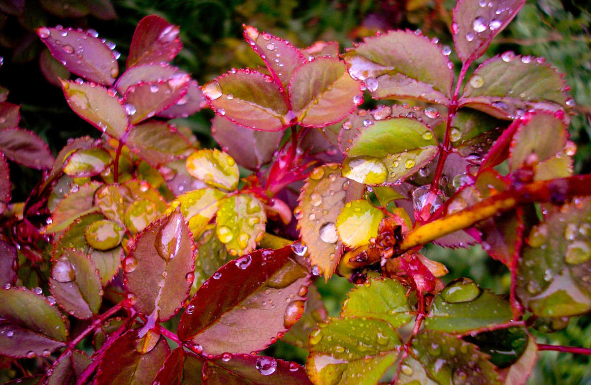 ... ����� �������� ��������� �� PhotoGeek.ru #������ ��� �������