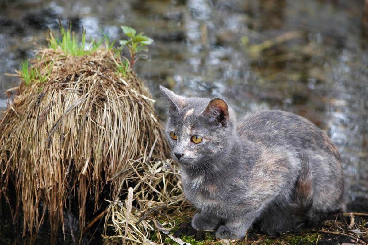 �� ������ ����� ���������  �� PhotoGeek.ru #�������� ���