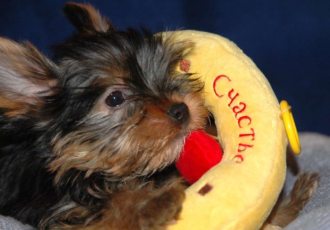 ������� ����� ���������  �� PhotoGeek.ru #�������� ���