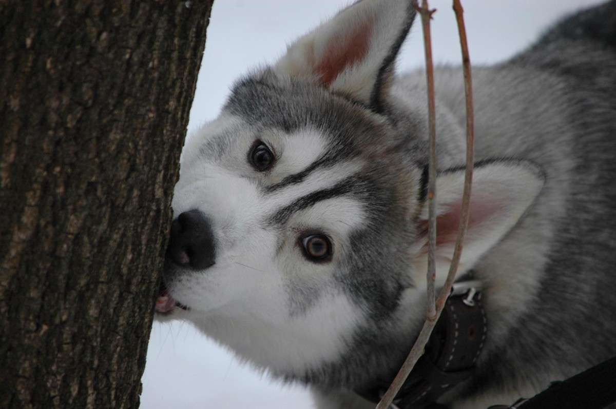 ��������� ����� ���������  �� PhotoGeek.ru #�������� ���