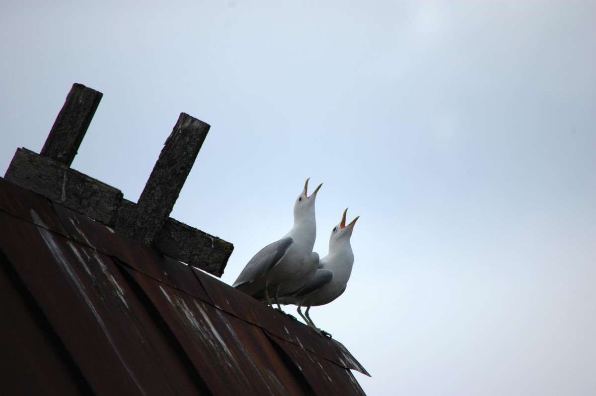 - � ����, � ���� ���... ����� ���������  �� PhotoGeek.ru #�������� ��� #����� ��� ��� ���������