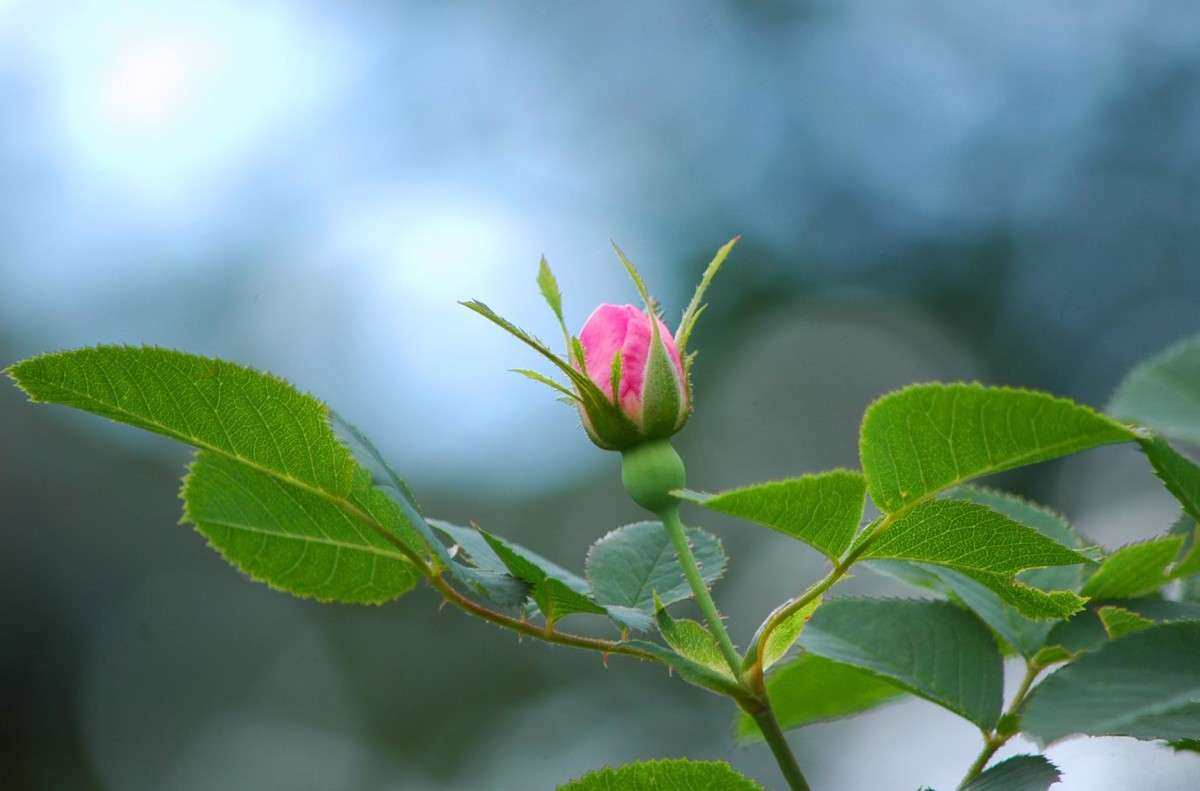 �������� ����� ���������  �� PhotoGeek.ru #������ ��� ������� #����� ��������������