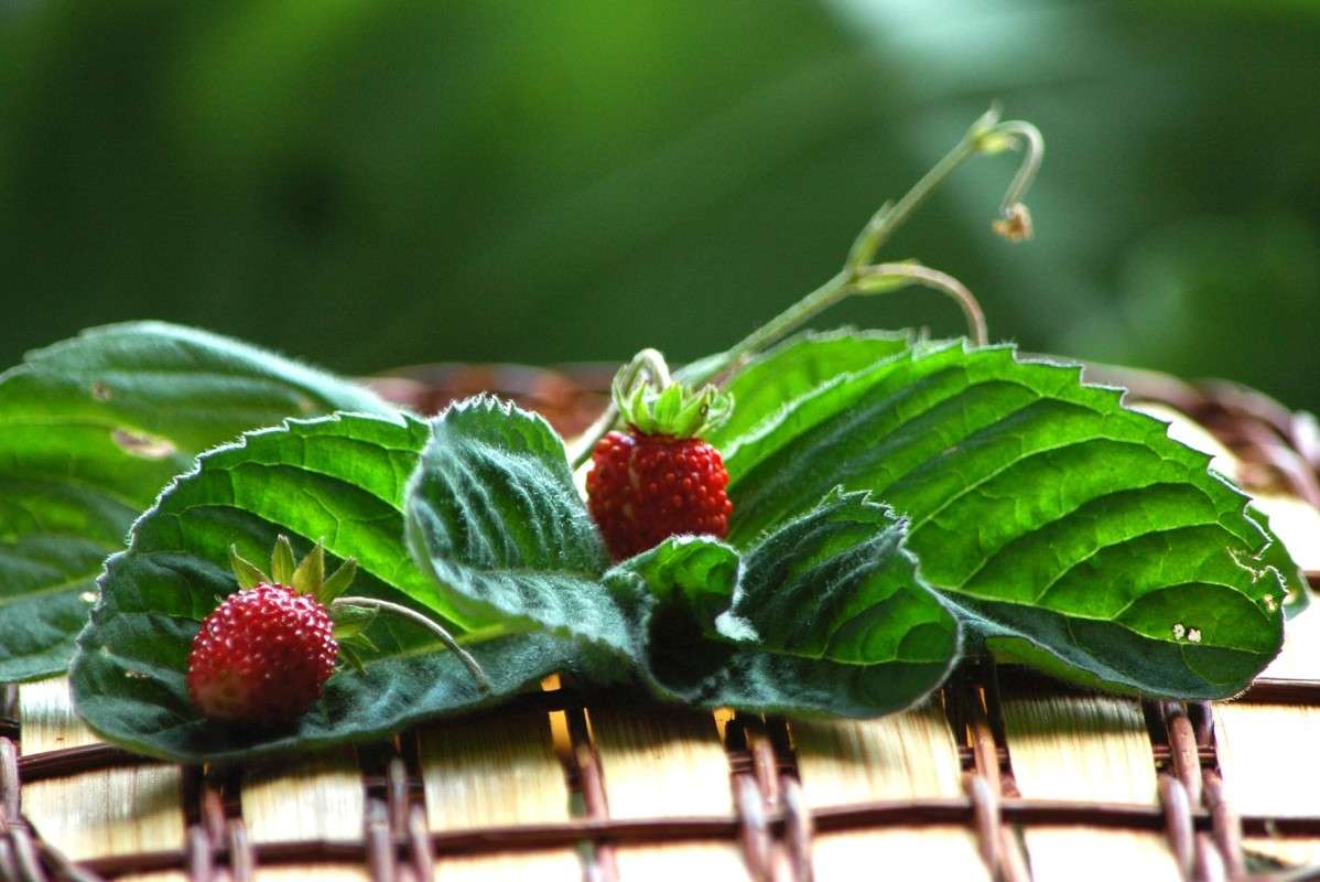 ... ����� ���������  �� PhotoGeek.ru #������ ��� ������� #����� ��������������