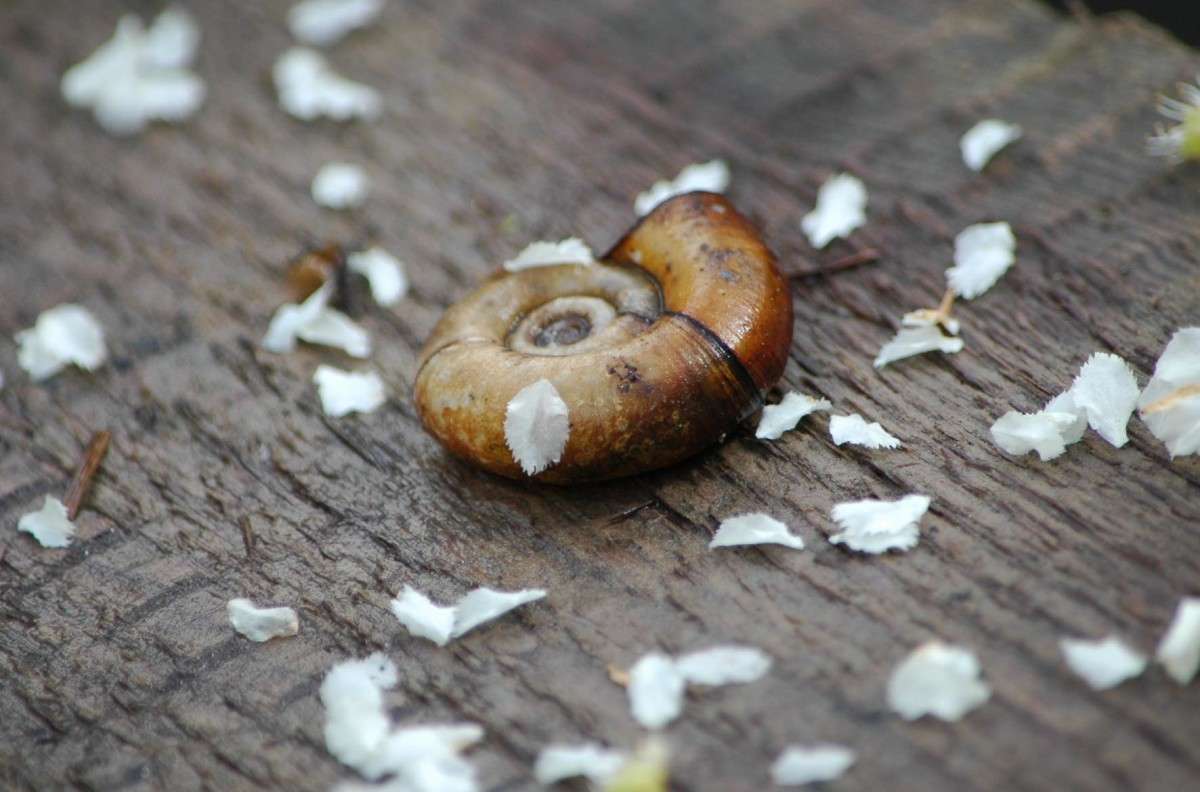 �������� ������ ����� ���������  �� PhotoGeek.ru #������ ��� ������� #����� ��������������