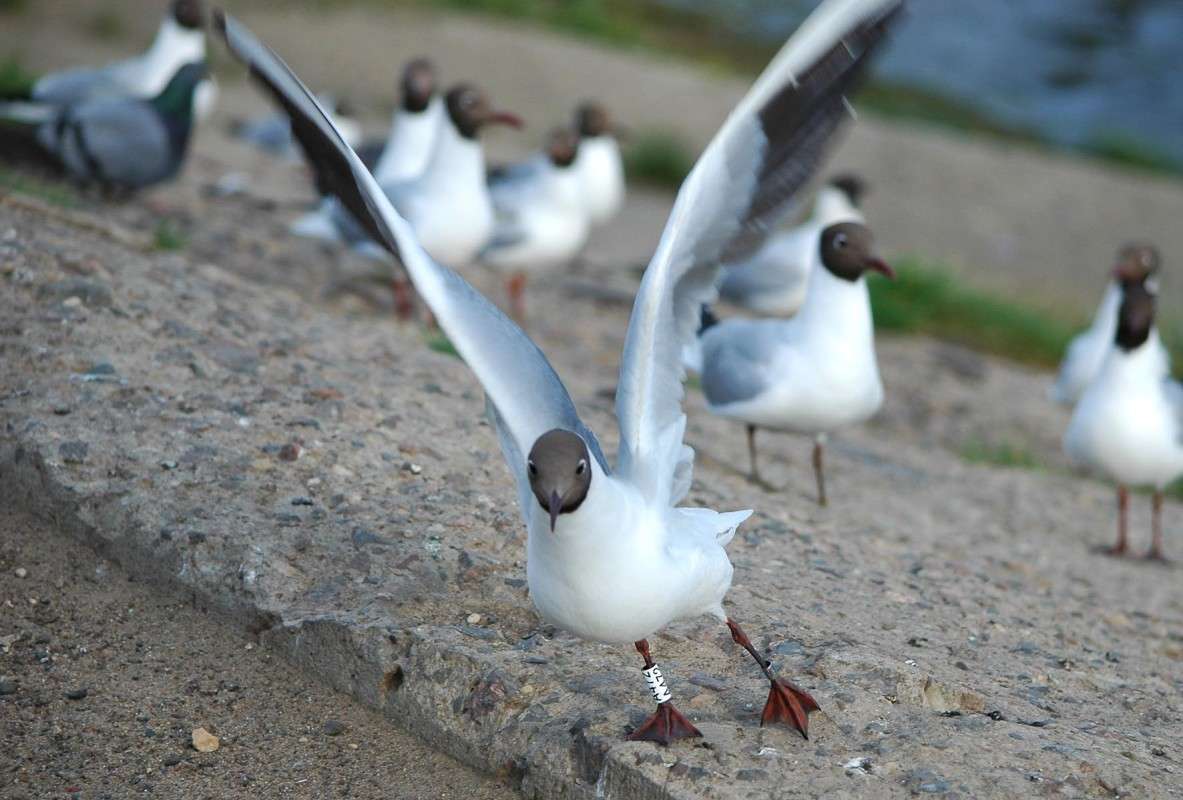 ����������� ����� �472 ����� ���������  �� PhotoGeek.ru #�������� ���