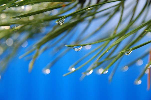 �������� ����� ����� ���������  �� PhotoGeek.ru #�����