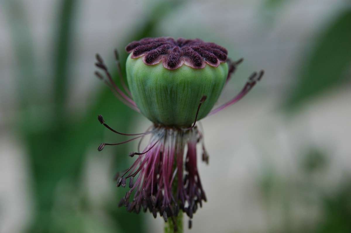 ��������� ����� ���������  �� PhotoGeek.ru #�����