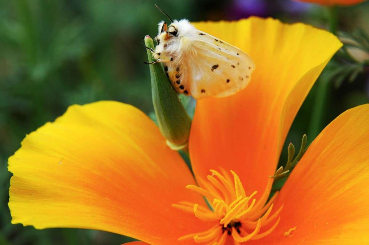 ��������� ����� ���������  �� PhotoGeek.ru #�����