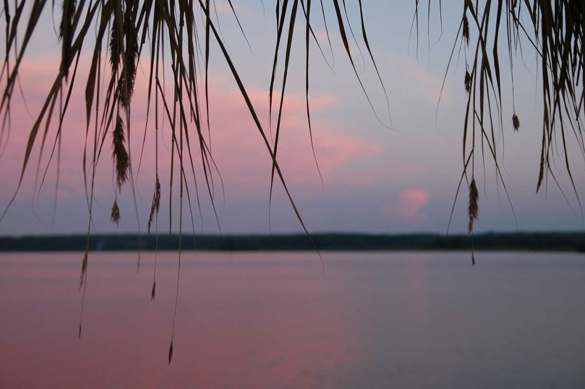 �� ������ ����� ���������  �� PhotoGeek.ru #������ ��� �������