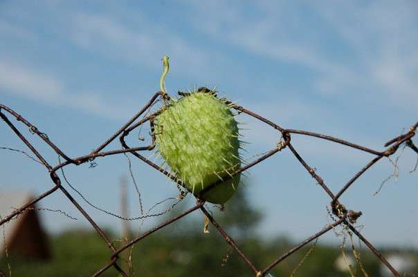 � ����� ����� ���������  �� PhotoGeek.ru #�����