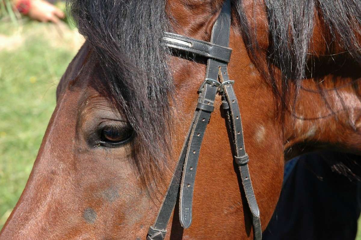 �������� ����� ���������  �� PhotoGeek.ru #�������� ���