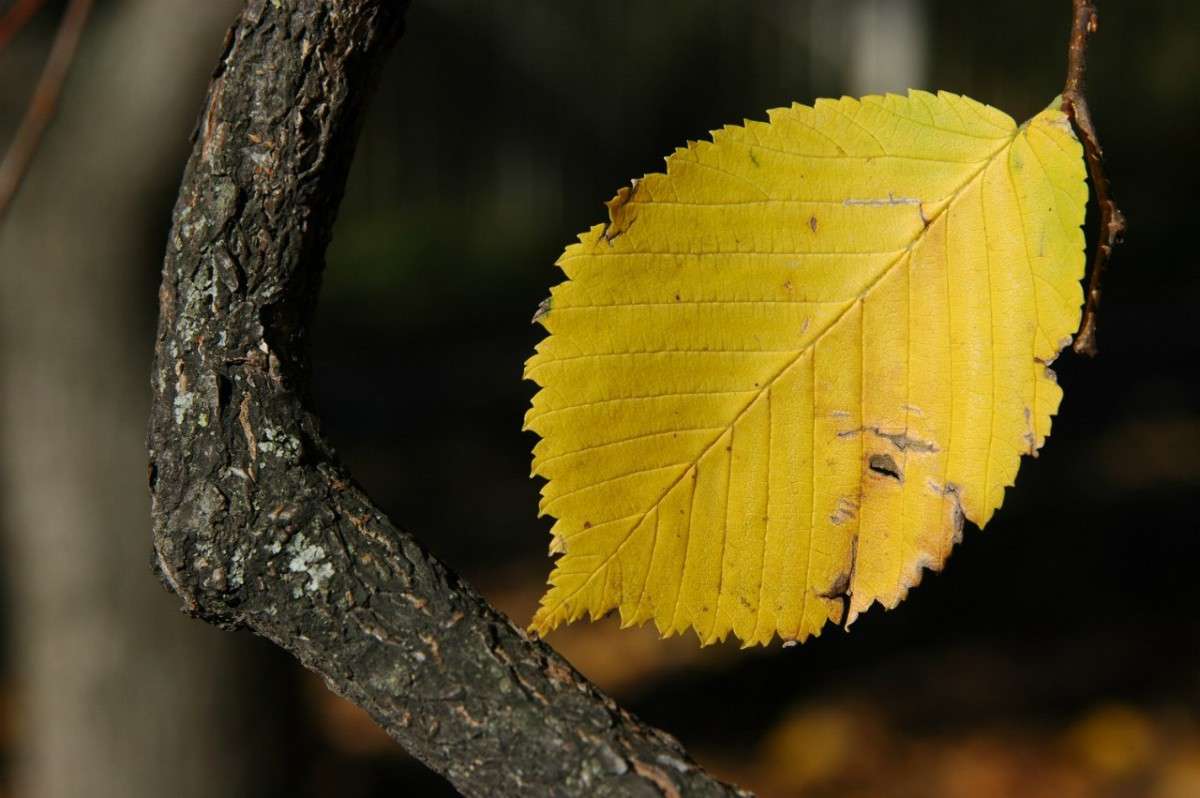 ����� ����� ���������  �� PhotoGeek.ru #������ ��� �������