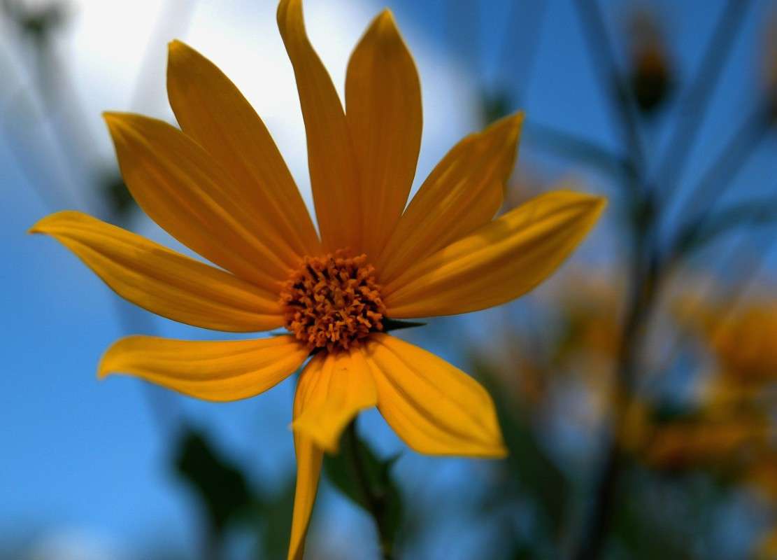 �������� ����� ���������  �� PhotoGeek.ru #������ ��� �������