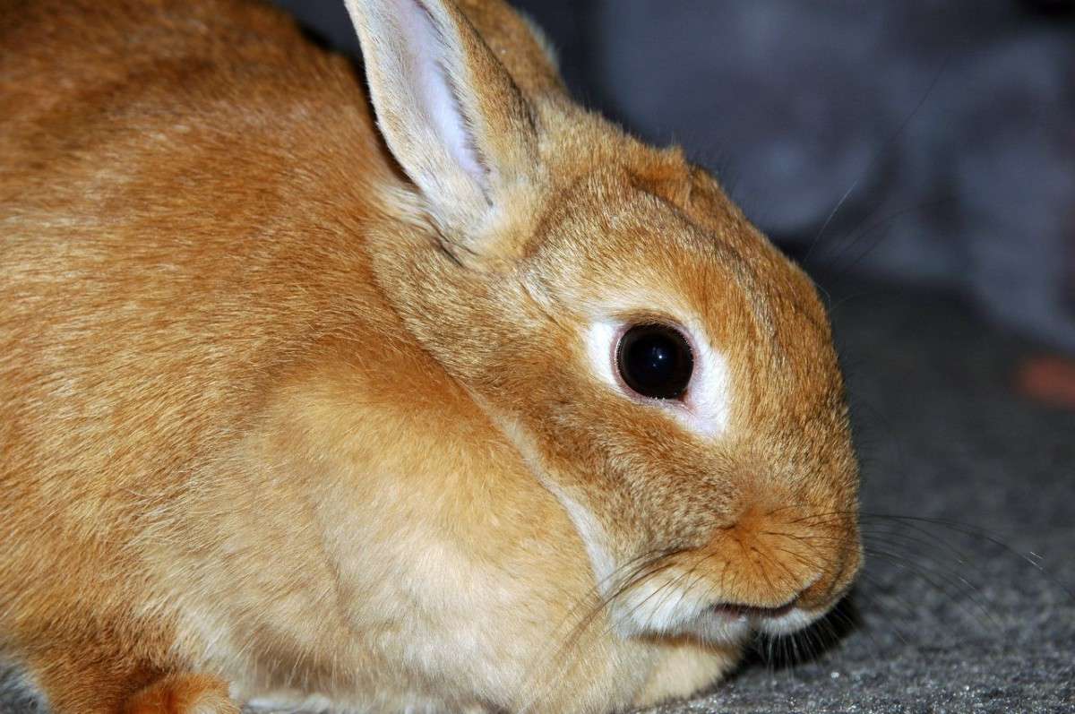 ������ ����� ���������  �� PhotoGeek.ru #�������� ���