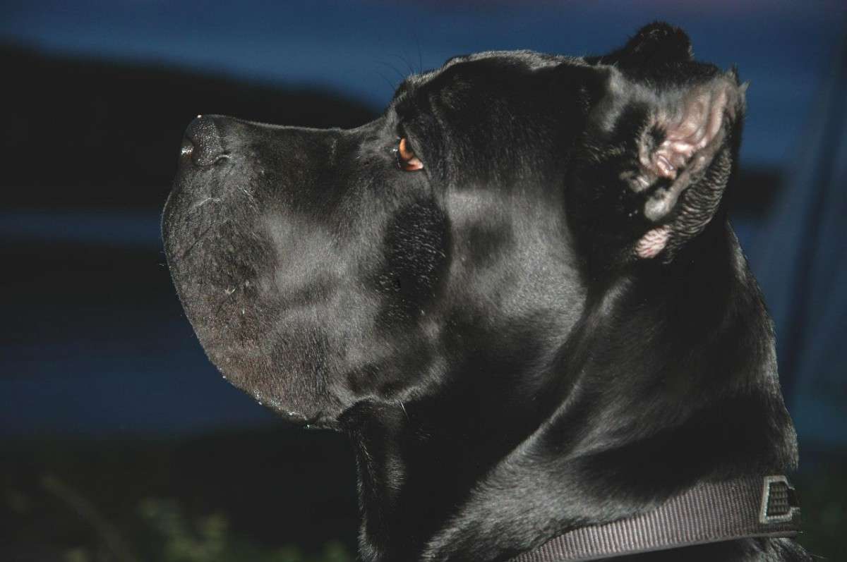 ����� ����� ���������  �� PhotoGeek.ru #�������� ���