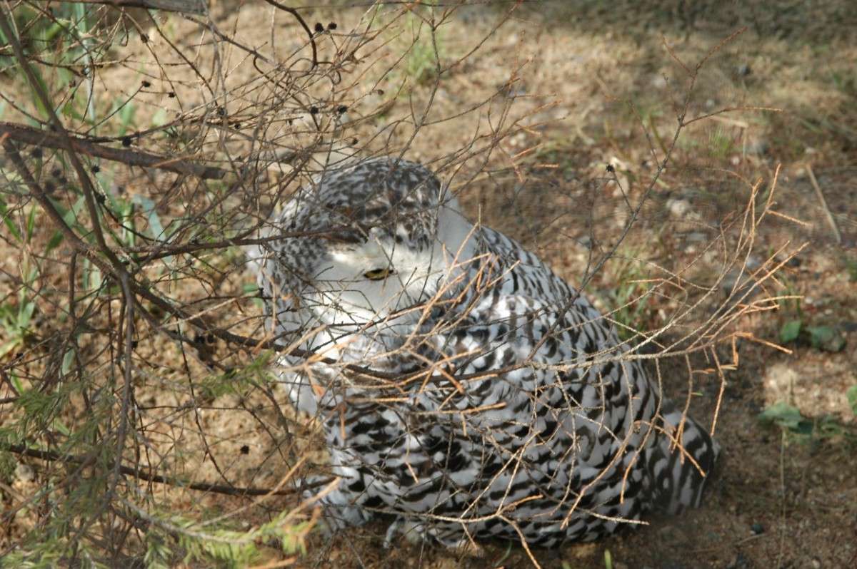 ����������! ����� ���������  �� PhotoGeek.ru #�������� ���