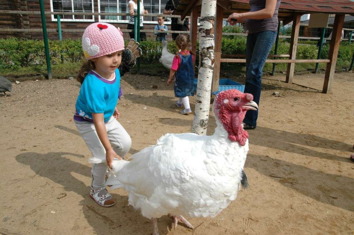 ��� ��� �� �����! ����� ���������  �� PhotoGeek.ru #�������� ���