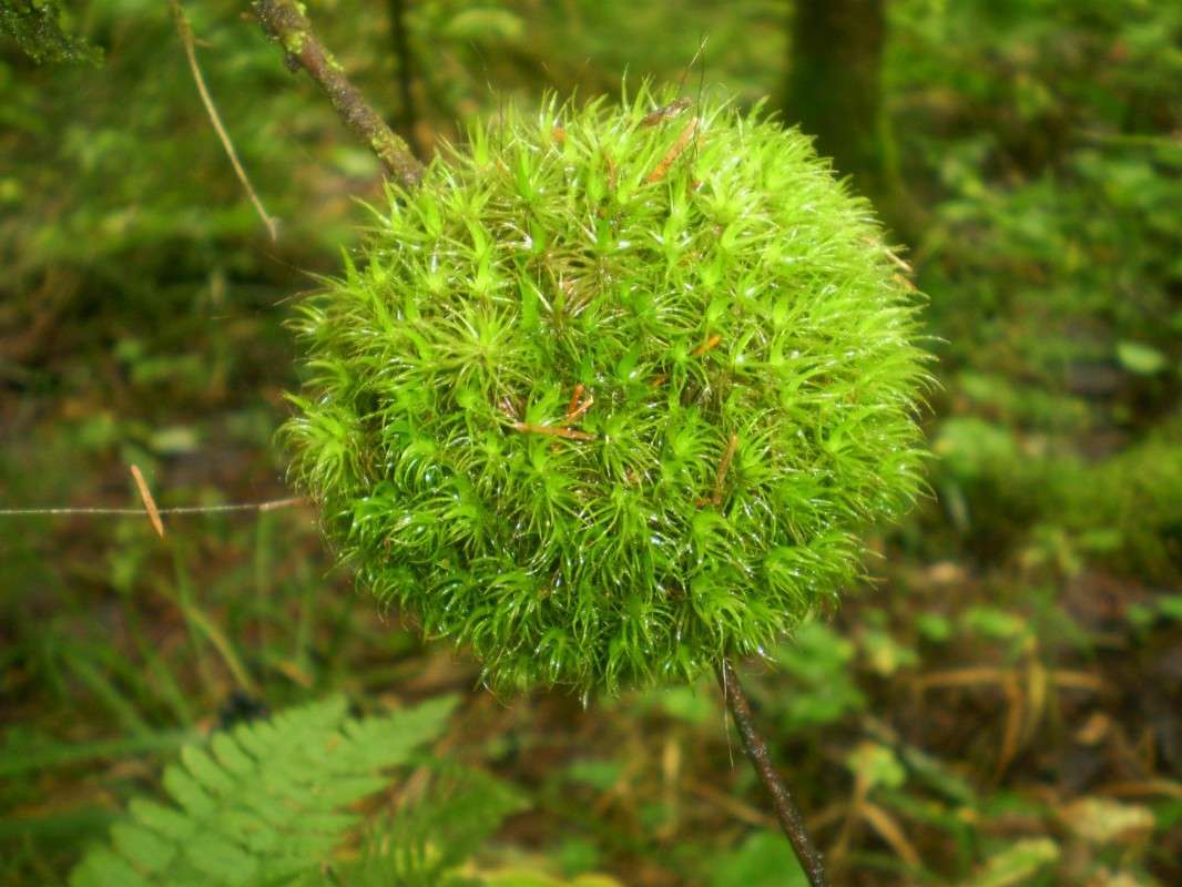 ������ ���� ����� ���������  �� PhotoGeek.ru #������ ��� �������