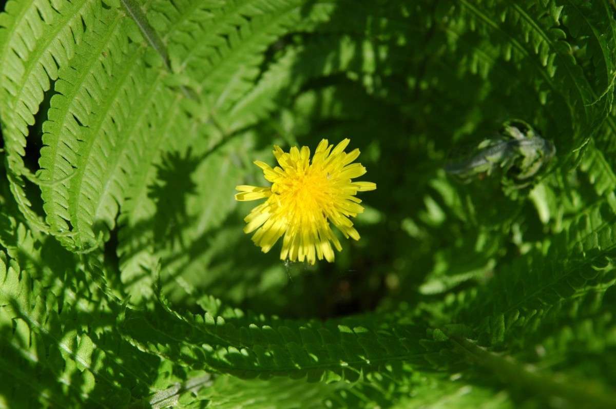 ���������� ����� ���������  �� PhotoGeek.ru #������ ��� �������