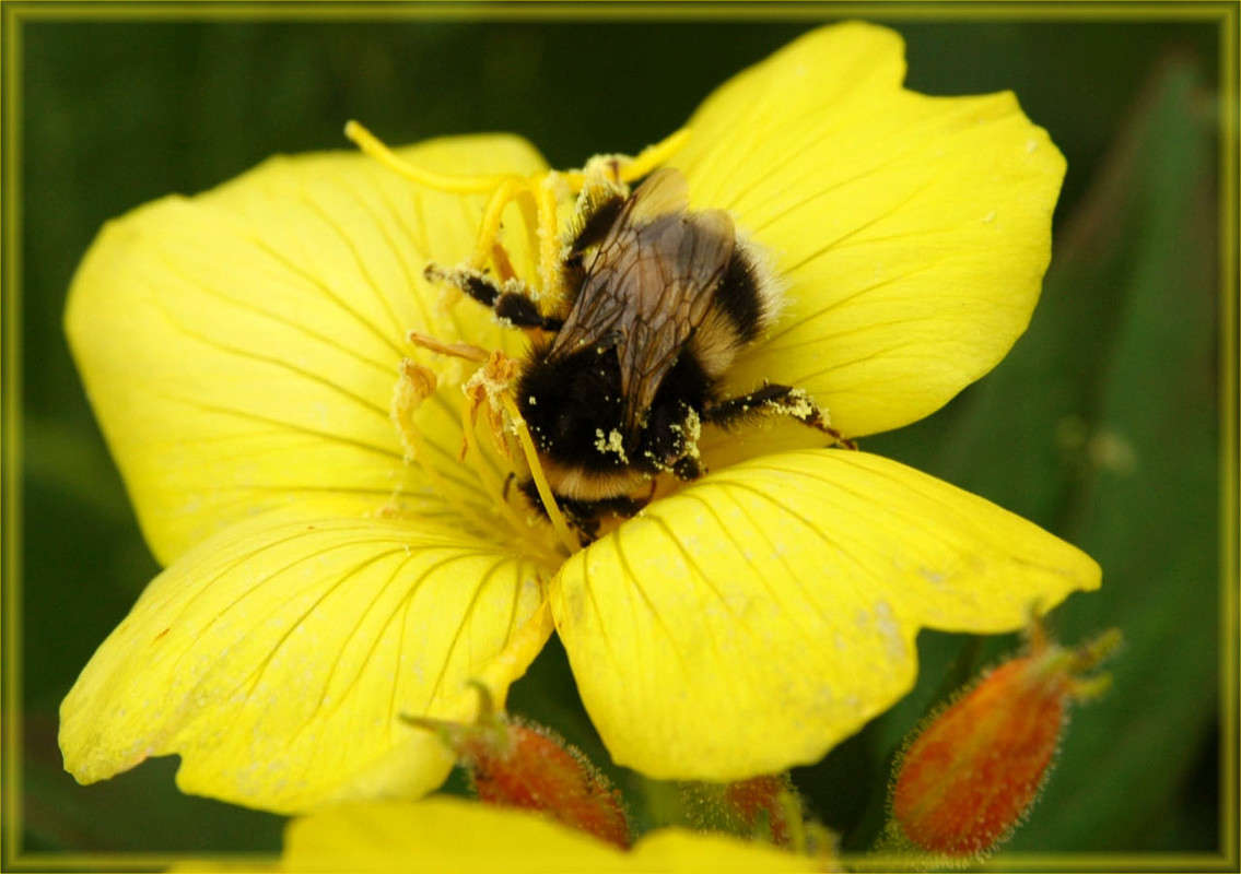 ���������� ����� ���������  �� PhotoGeek.ru #�����