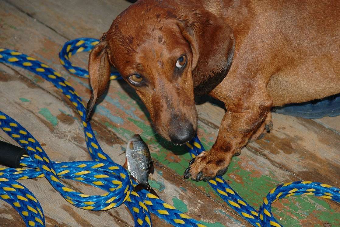 ��� ��� ������ ����� ���������  �� PhotoGeek.ru #�������� ���