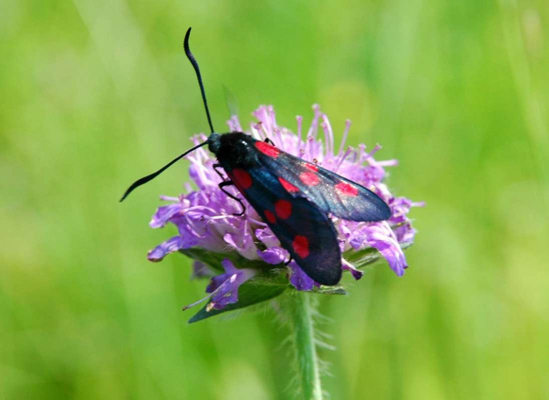 �� ����� ����� ���������  �� PhotoGeek.ru #�����