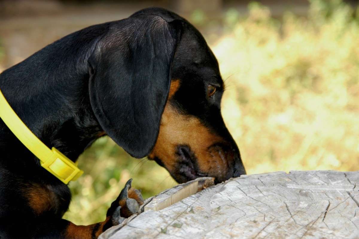 ��������? ����� ���������  �� PhotoGeek.ru #�������� ���