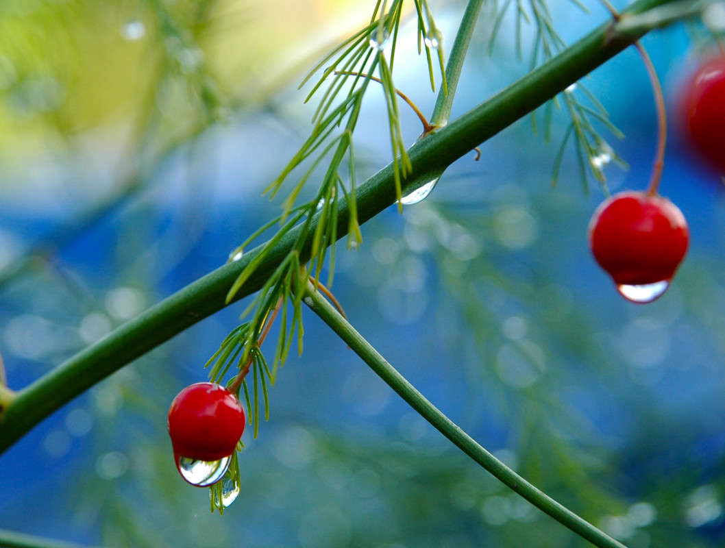 �������� ����� ���������  �� PhotoGeek.ru #������ ��� �������