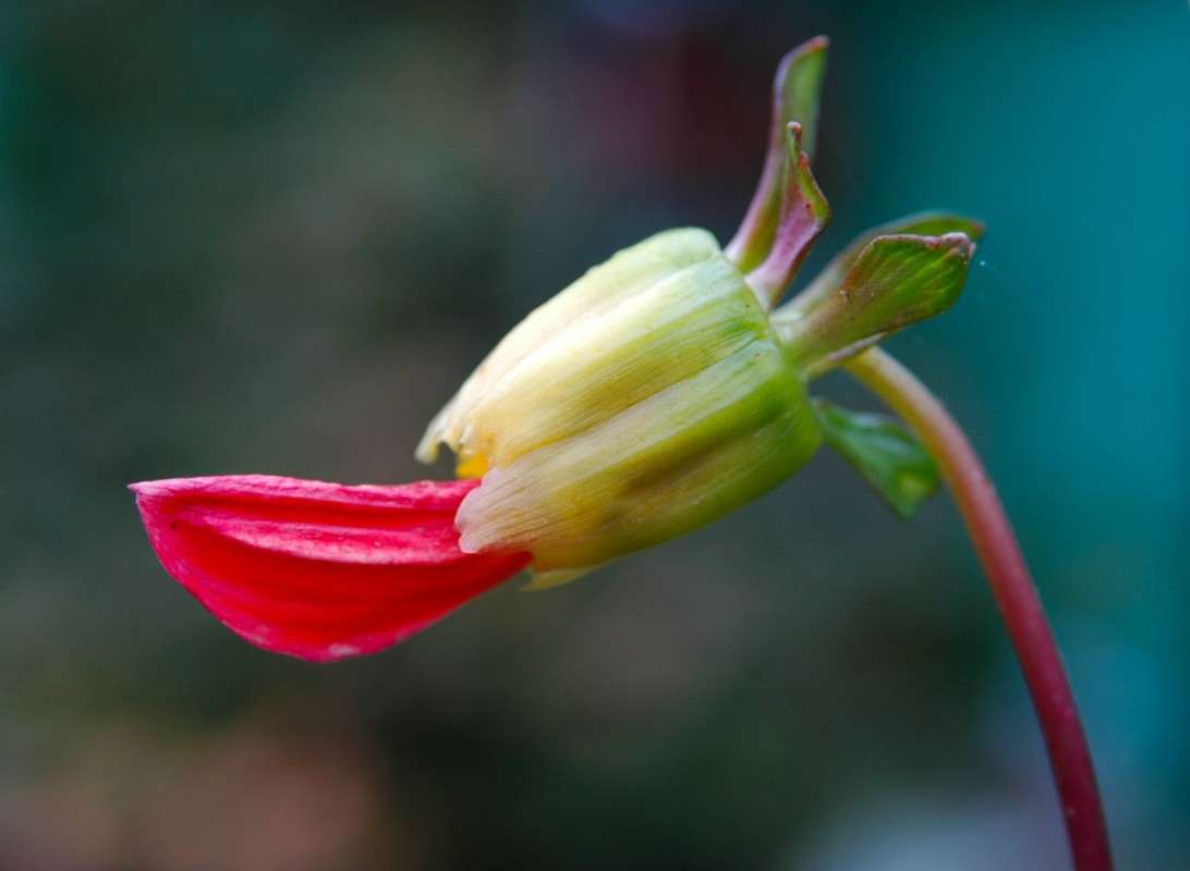 �������� ����� ���������  �� PhotoGeek.ru #�����