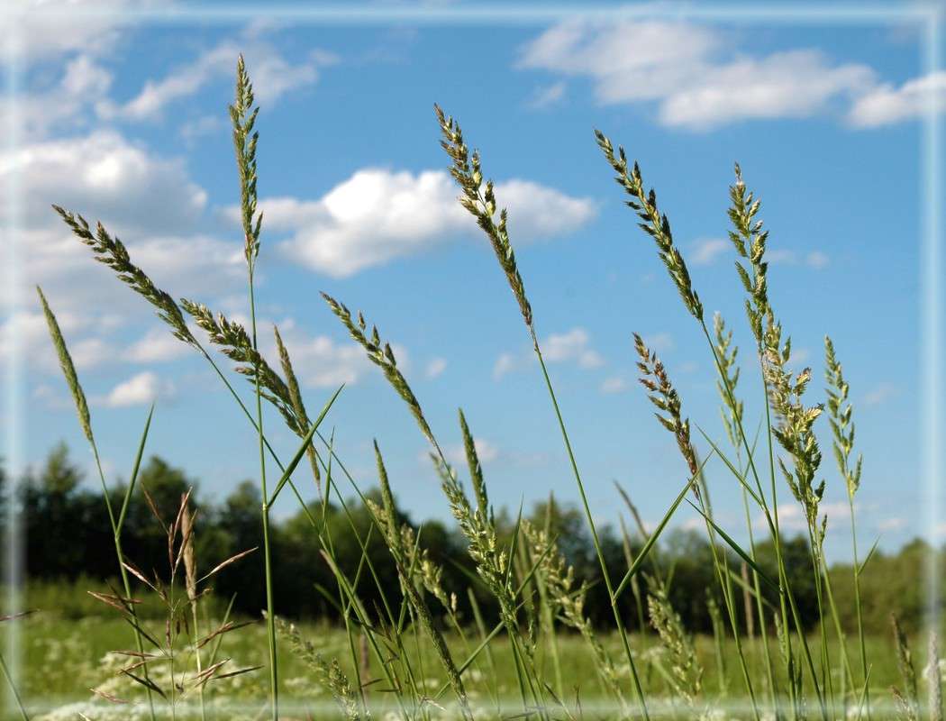 �������� ����������� ������������� ��� ����� ���������  �� PhotoGeek.ru #������ ��� �������