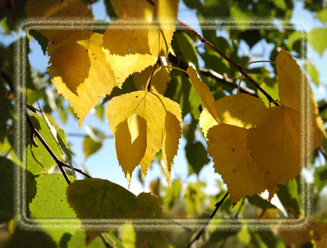 ��������� ������, �� �� ����� ������ ����� ���������  �� PhotoGeek.ru #������ ��� ������� #����� ��������������