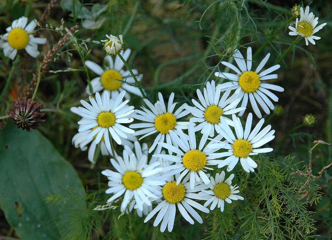 � ����� ��� ������? ����� ���������  �� PhotoGeek.ru #������ ��� ������� #����� ��������������