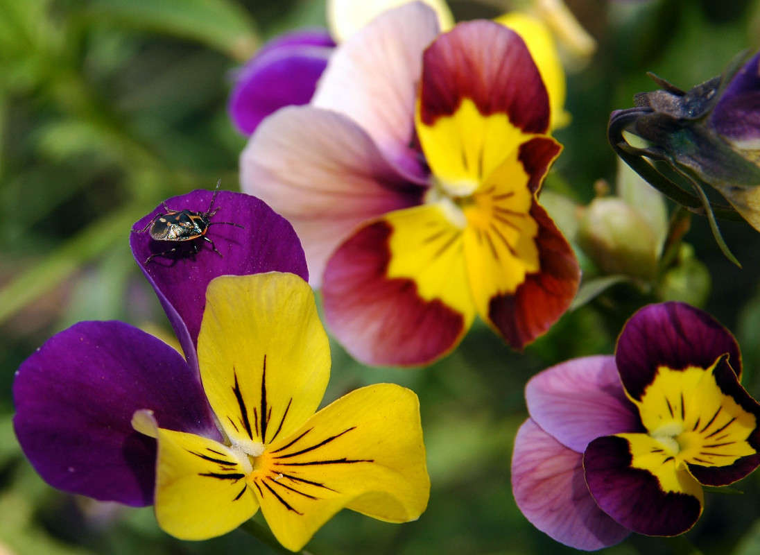 ������ ����� ���������  �� PhotoGeek.ru #������ ��� ������� #����� ��������������