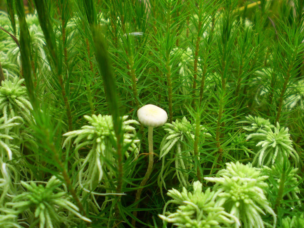 ������� ��� �� ����� ��� ����� ���������  �� PhotoGeek.ru #������ ��� ������� #����� ��������������